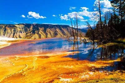 7-Day Natural Wonders: SF to Yellowstone, Grand Teton, Antelope Canyon & Vegas!