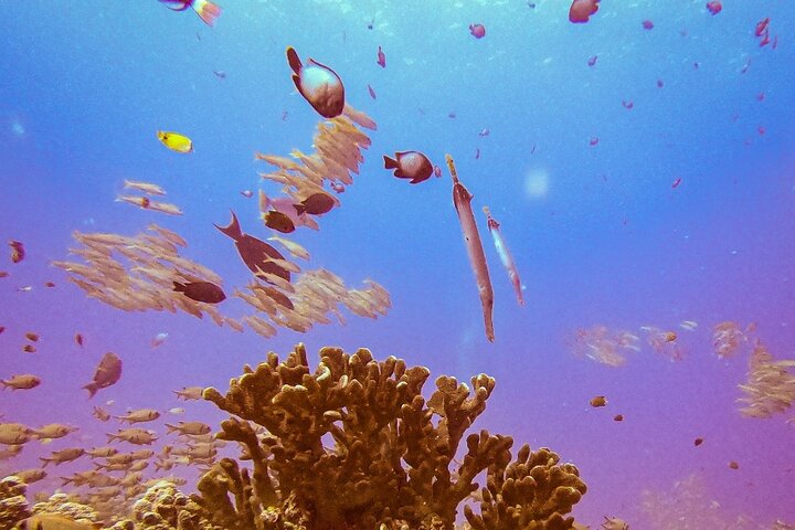 Experience Image img2