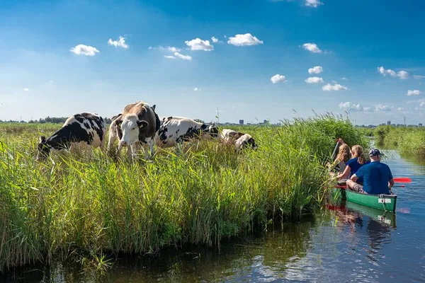 Paddle Through Paradise: Guided Canoe Adventure in Amsterdam's Waterland