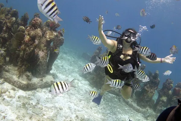 Discover Underwater Wonders: Scuba Dive MUSA in Isla Mujeres!