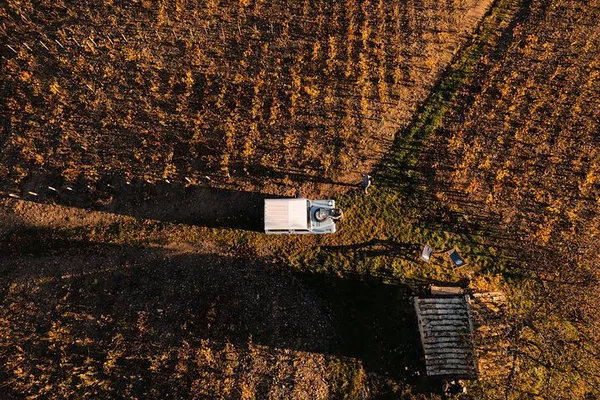 Lyon: Winter Wine Tour in Beaujolais & Burgundy