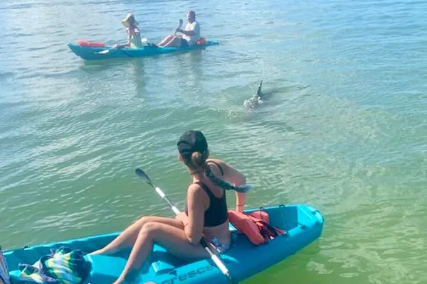 Daytona Beach Kayak Tour: Dolphins & Manatees!
