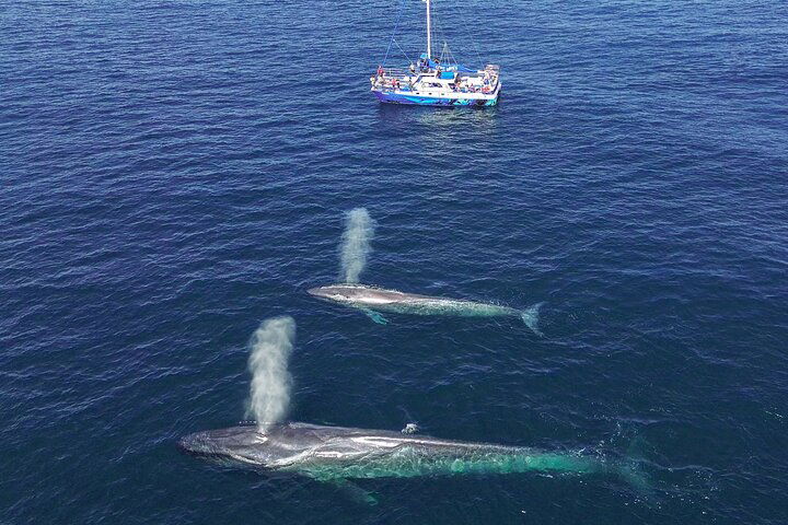 Experience Image img3