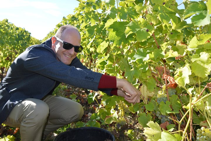 Experience Image img1