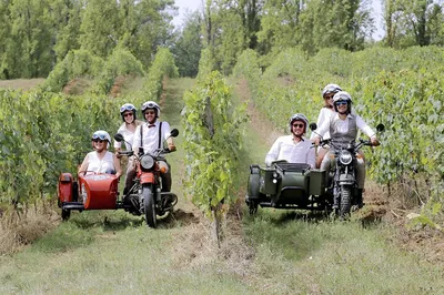 Médoc Sidecar Adventure: Wine, Châteaux, and Thrills!