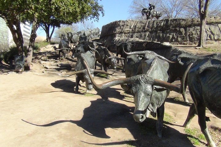 Experience Image img4