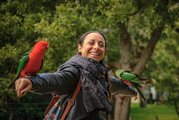 Experience Image img3