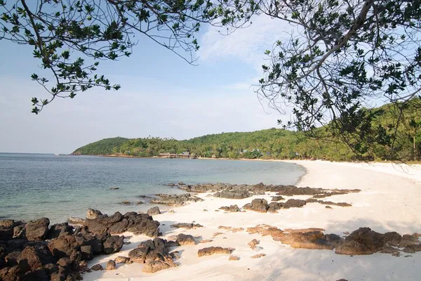 Koh Talu Island Escape: Snorkel, Trek & Discover Paradise!