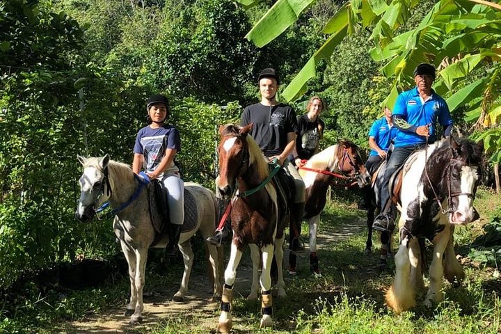 Phuket's Big Buddha Hill: A Beginner's Horseback Adventure