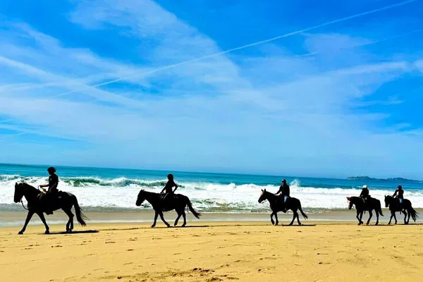 Coastal Adventure: Horseback Ride & Alcatraz Escape!