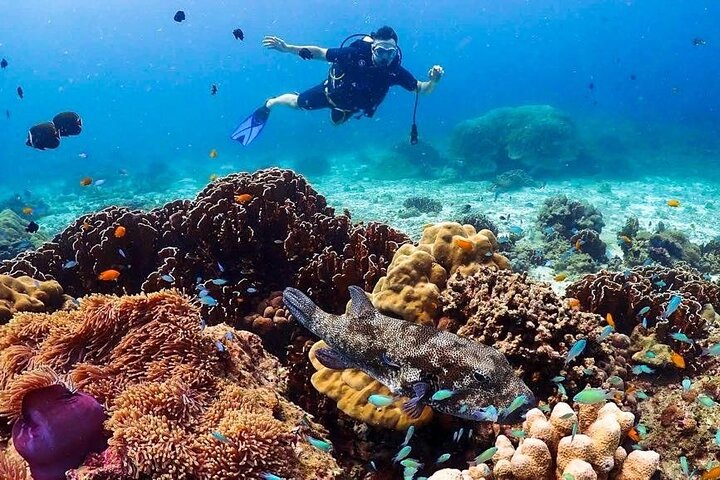 Phuket Scuba Diving: Discover Racha Yai Island!
