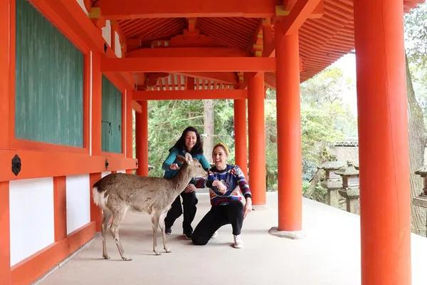 Nara's Deer & Sake: Private Tour from Kyoto/Nara