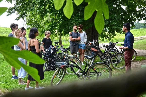 Bordeaux E-Bike Wine Tour: Taste & Lunch