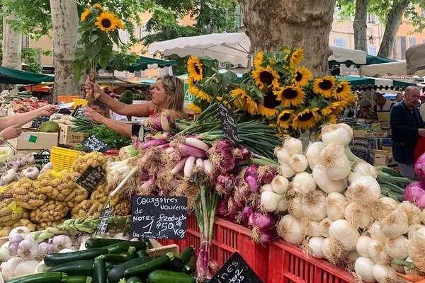 Aix-en-Provence Gourmet & Cultural Immersion: Taste, Explore, and Discover!