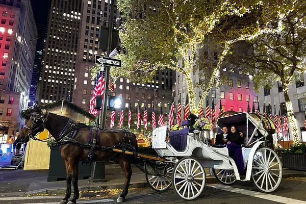 Magical NYC Christmas Lights Horse Carriage Tour