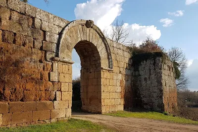 Unearth Ancient Rome: Trekking Through Falerii Novi's History & Nature