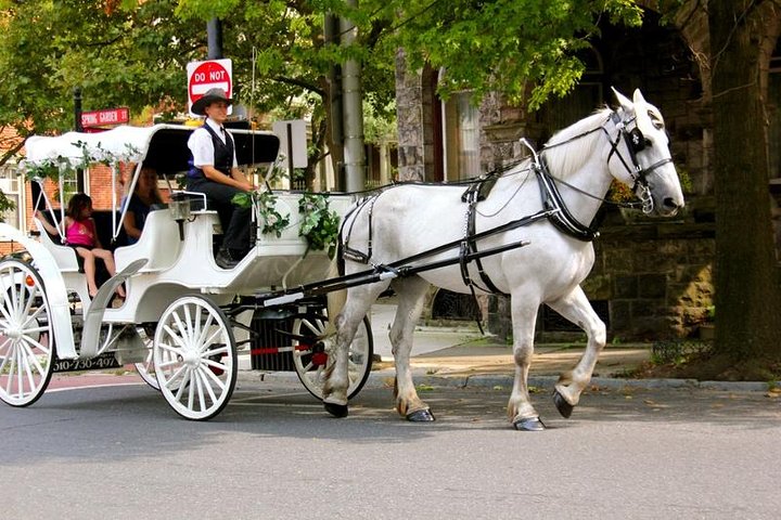 Central Park Carriage Ride: VIP Private Tour Since 1964™