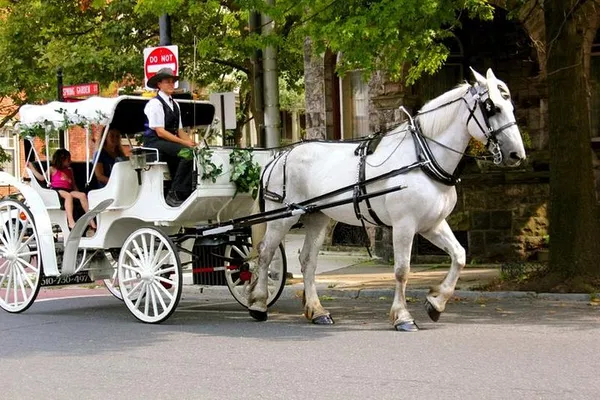 Central Park Carriage Ride: VIP Private Tour Since 1964™