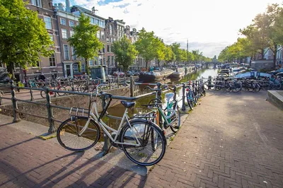 Amsterdam's Insta-Worthy Gems: Explore with a Local!