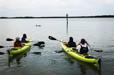 Rookery Bay Kayak Adventure: Paddle Through Paradise with Expert Guides