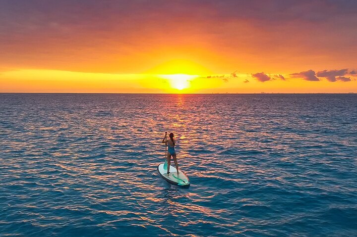 Sunrise Paddleboard Playa del Carmen: Photos Included!