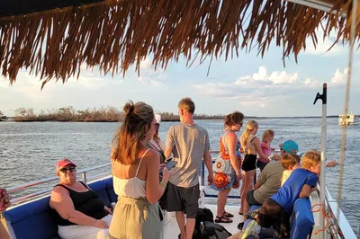 Discover Dolphins: Fort Myers Beach Eco-Tour Adventure!