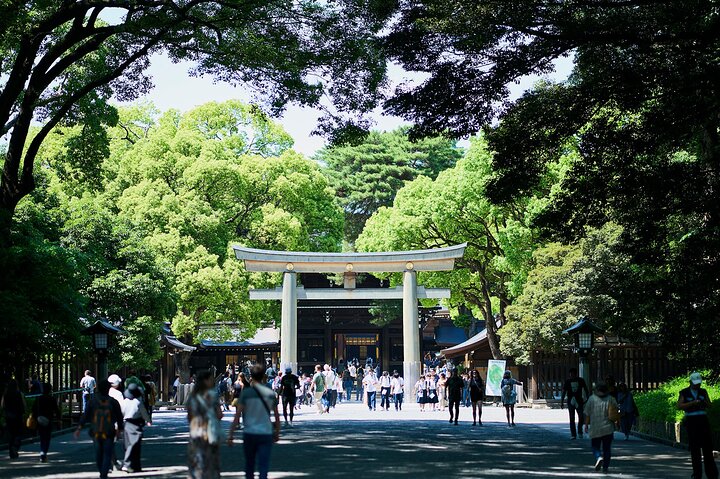 https://images.dyvarcity.com/experience-images/dyvarcity_0ef04635832c2025d980619e1_2e.jpg