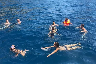 Image 2