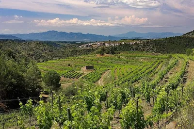 Unveiling Priorat: A Luxurious Two-Day Wine & Culture Escape