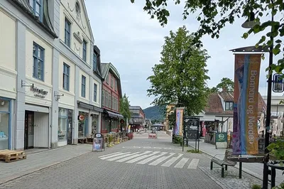 Image 2