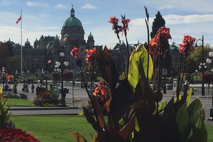 Experience Image img2