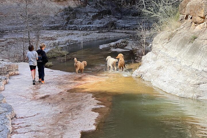 Experience Image img4