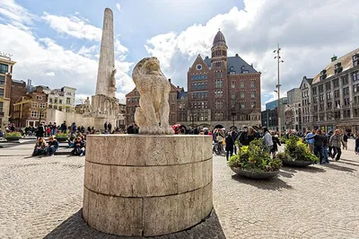 Unveiling Amsterdam's WWII History: A Private Walking Tour