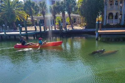 Siesta Key Kayak Tour: Paddle Through Paradise & Discover Secret Beaches