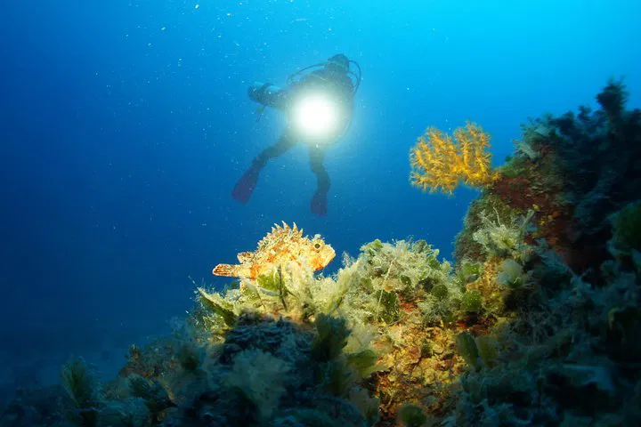 img0