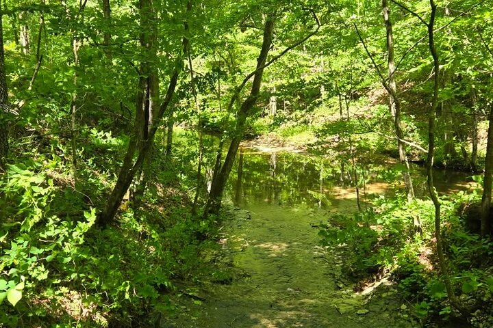 Experience Image img2