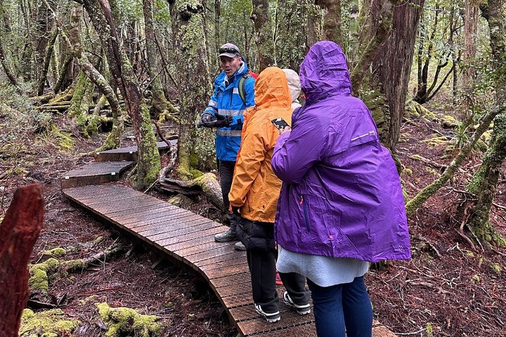 Experience Image img1