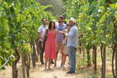 Sorrento Farm Tour: Cheese, Pizza, Wine & Limoncello!