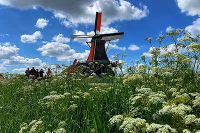 Amsterdam Countryside E-Bike Adventure: Cheese, Villages & Waterland Wonders!