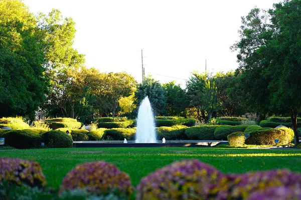 Explore Nature: Texas Discovery Gardens Admission