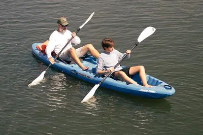 Crystal River Kayak Rental: 4-Hour Manatee Adventure
