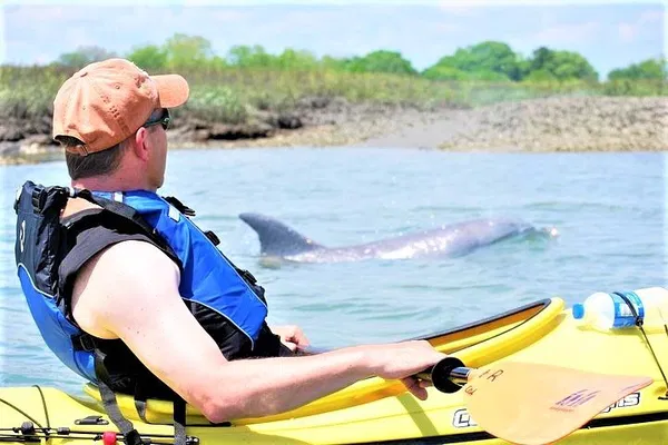 Charleston Kayak Eco-Tour: Dolphins & Salt Marsh