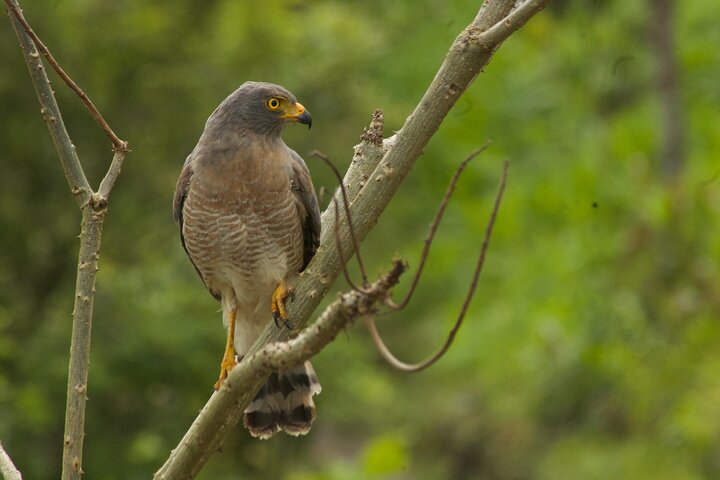 Experience Image img4