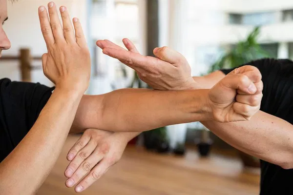 WING HO Martial Arts: Master Wing Chun & Eskrima in Zurich