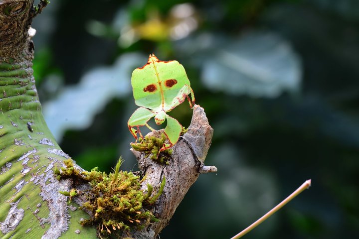 https://images.dyvarcity.com/experience-images/dyvarcity_10eba05fe74441e0c2ed9fc79_73.jpg