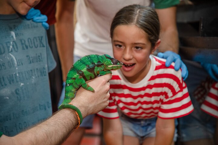 Experience Image img3