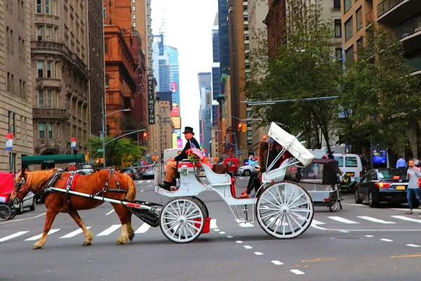 Enchanting Central Park Carriage Ride: A Timeless NYC Experience