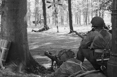 Relive History: Battle of Arnhem Remembrance Tour from Amsterdam