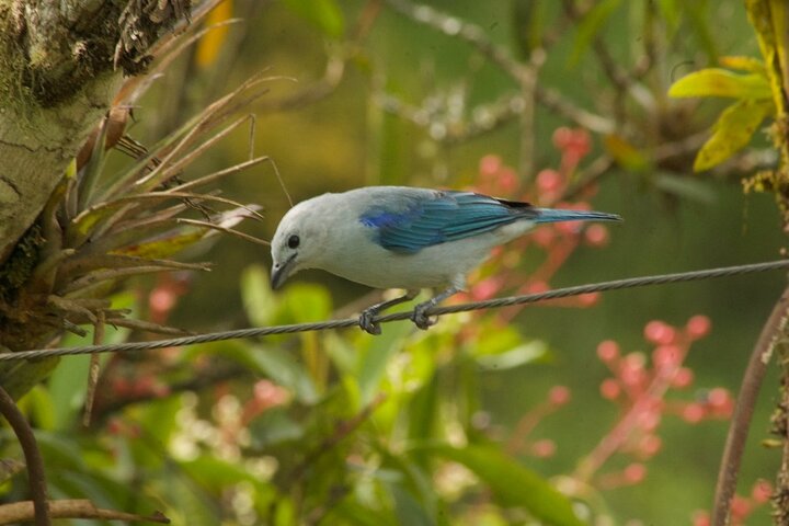 Experience Image img1