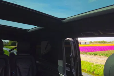 Keukenhof Tulip Experience: Private, Luxurious & Flexible Minivan Tour